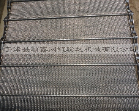 秦皇岛人字型链条网带
