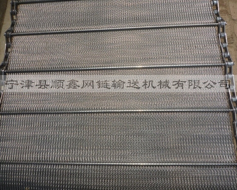 秦皇岛人字型链条网带